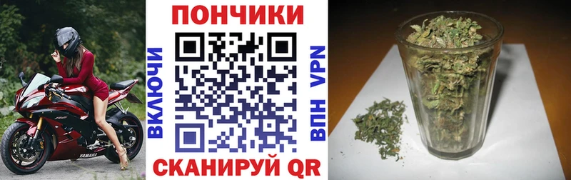 Конопля OG Kush  Злынка 